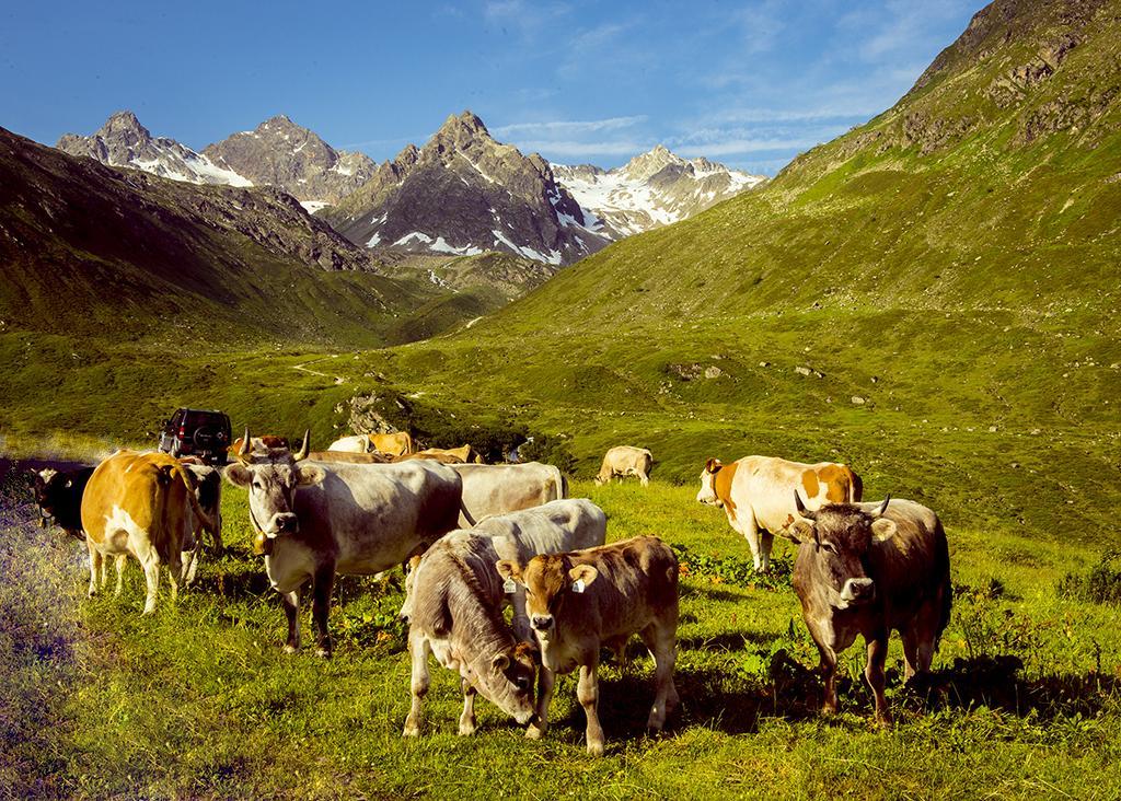 Alpenpension Maderer Gaschurn Bagian luar foto