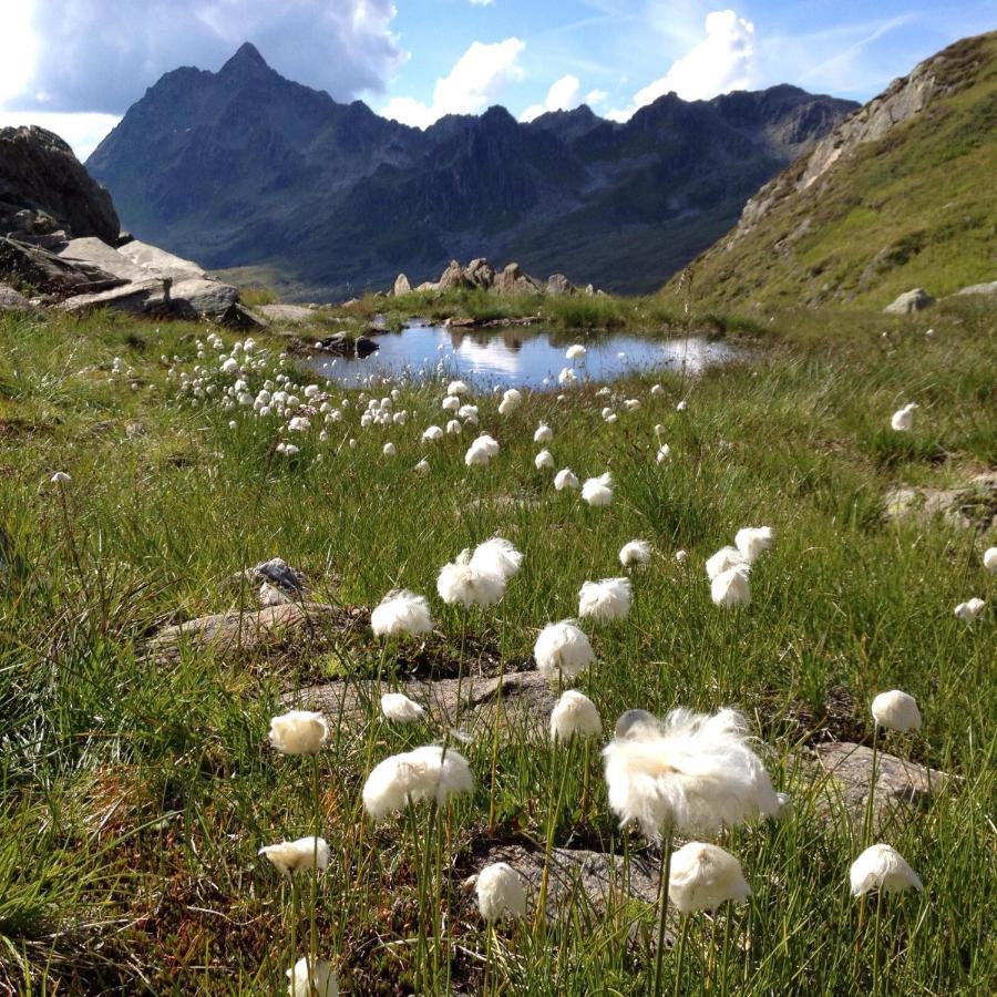 Alpenpension Maderer Gaschurn Bagian luar foto